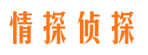 蛟河侦探